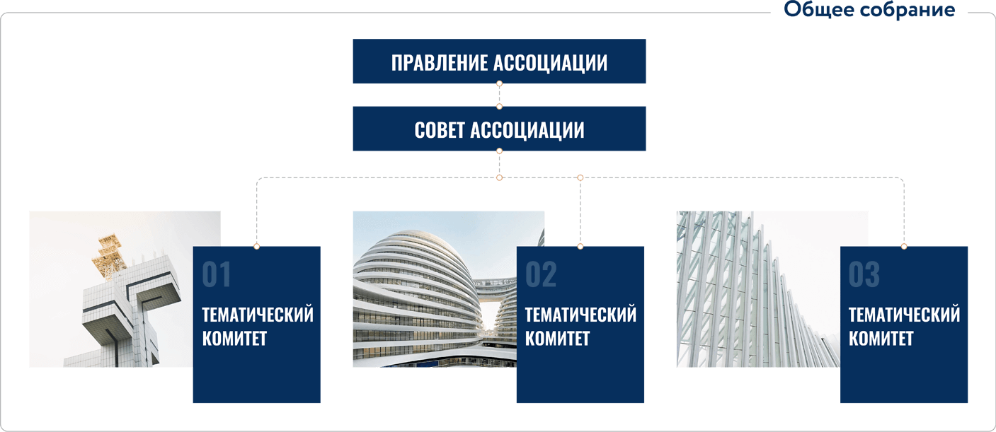 Структура ассоциации